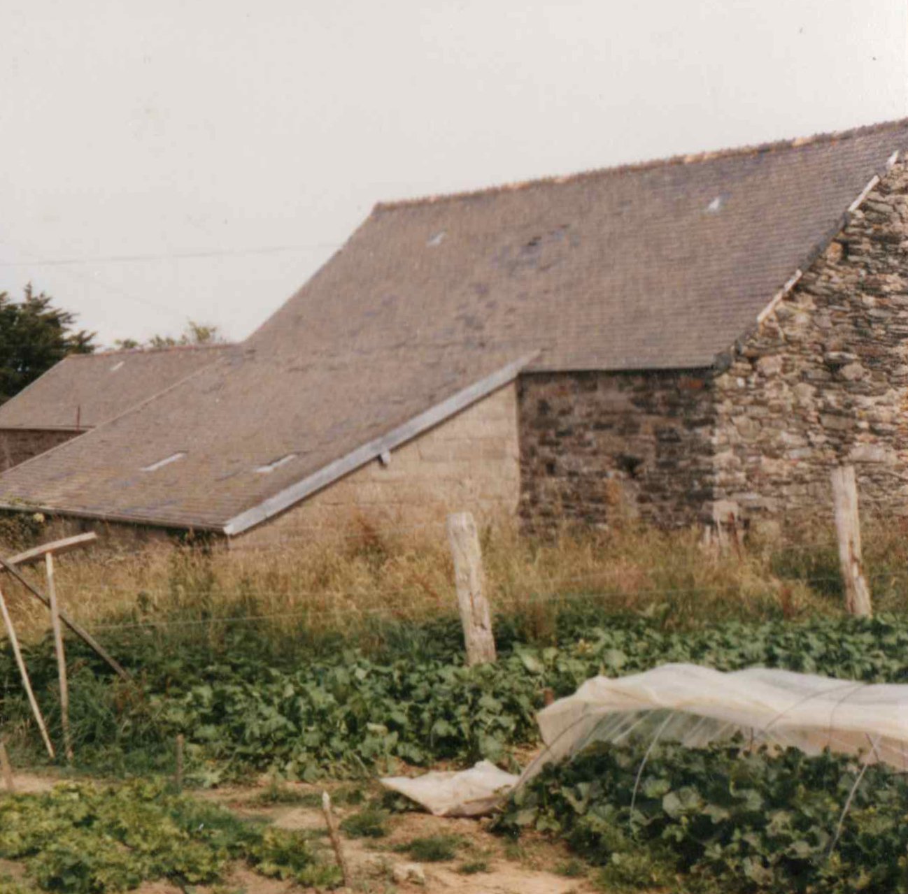 La grange intérieure